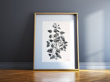 Charger l'image dans la galerie, Mirabilia