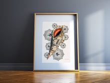 Charger l'image dans la galerie, Le Coquillage du Capricorne