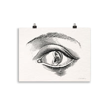 Charger l'image dans la galerie, La Synesthésie