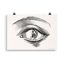 Charger l'image dans la galerie, La Synesthésie