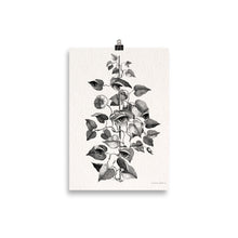 Charger l'image dans la galerie, Mirabilia