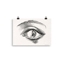 Charger l'image dans la galerie, La Synesthésie