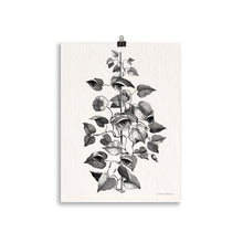 Charger l'image dans la galerie, Mirabilia