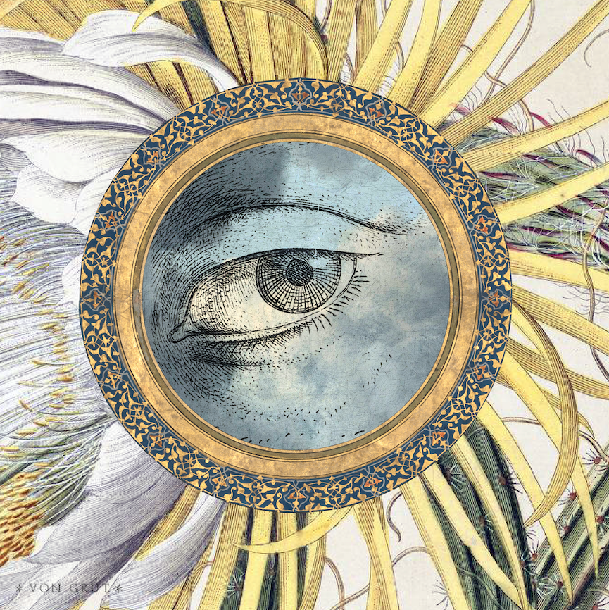 Revolution Solaire - 1h30