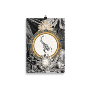 Le signe du Scorpion
