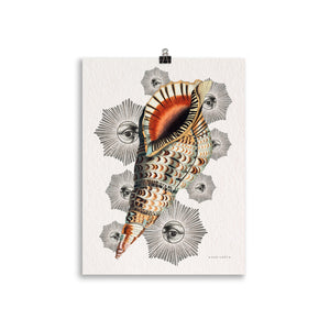 Le Coquillage du Capricorne