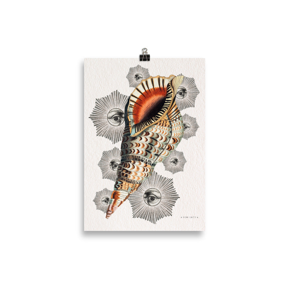 Le Coquillage du Capricorne
